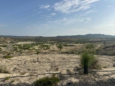 Vente Terrain ORIHUELA 03300