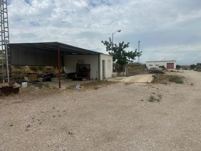 Vente Local commercial ORIHUELA 03300