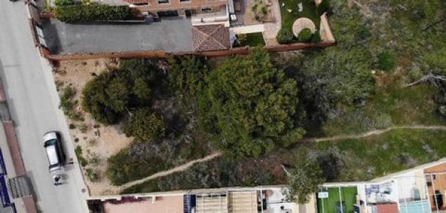 Vente Terrain ORIHUELA 03300