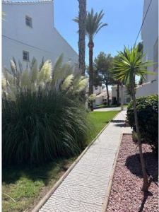 Vente Appartement ORIHUELA-COSTA 03189