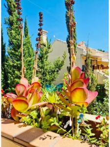 Vente Appartement ORIHUELA-COSTA 03189