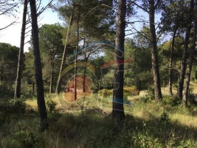 Vente Terrain PALAMOS 17230