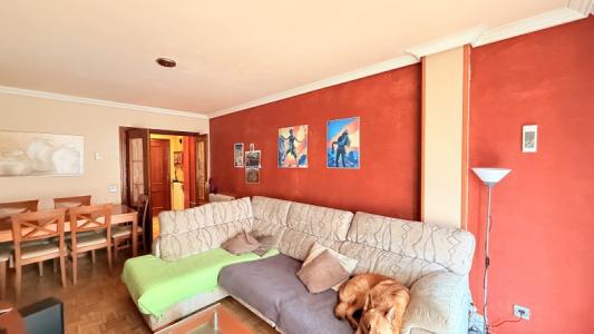 Vente Appartement PALENCIA 34003