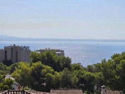 Vente Maison 5 pices PALMA-DE-MALLORCA 07015