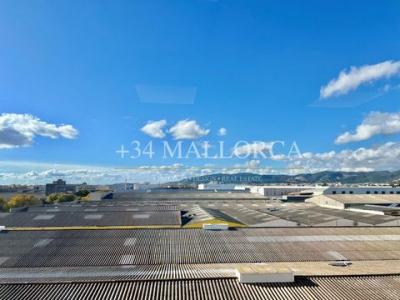 Location Local commercial PALMA-DE-MALLORCA 07001