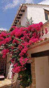 Vente Maison PEGO 03780