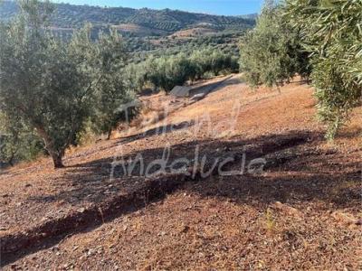 Vente Terrain PERIANA 29710