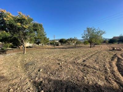 Vente Terrain PINOSO 03650