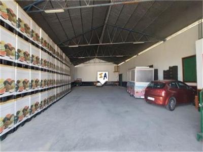 Vente Local commercial PUERTO-LOPE 18249