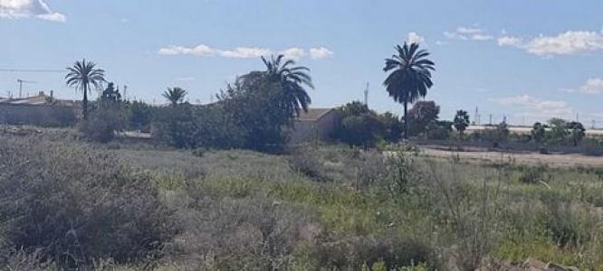 Vente Terrain ROJALES 03170