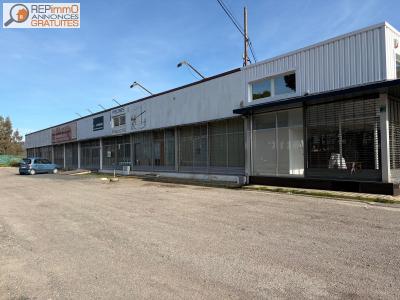 Vente Local commercial ROSES 17480
