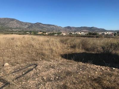 Vente Terrain SALINAS 03130