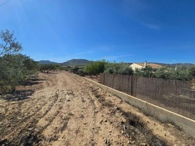 Vente Terrain SALINAS 03130
