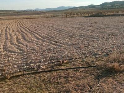 Vente Terrain SALINAS 03130