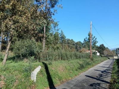 Vente Terrain SALVATERRA-DE-MINO 36457