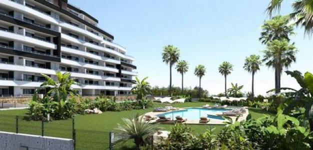 Vente Appartement SAN-MIGUEL-DE-SALINAS 03193
