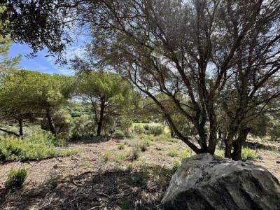 Vente Terrain SAN-ROQUE 04769