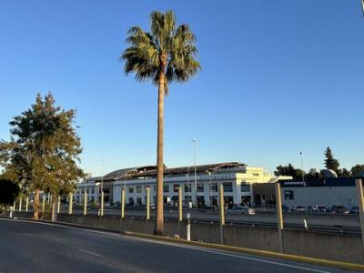 Vente Local commercial SAN-ROQUE 04769
