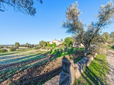 Vente Maison SANT-JOAN 07240