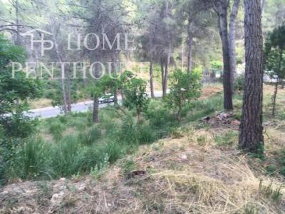 Vente Terrain SANT-PERE-DE-RIBES 08810