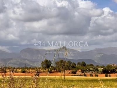 Vente Appartement SANTA-EUGENIA 07142