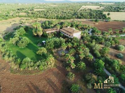 Vente Maison SANTA-MARGALIDA 07450