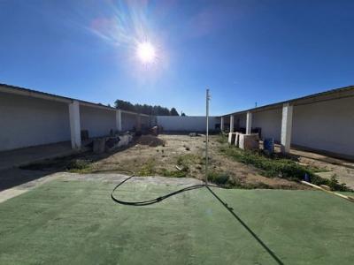 Vente Local commercial SAX 03630