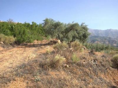 Vente Terrain SEDELLA 29715