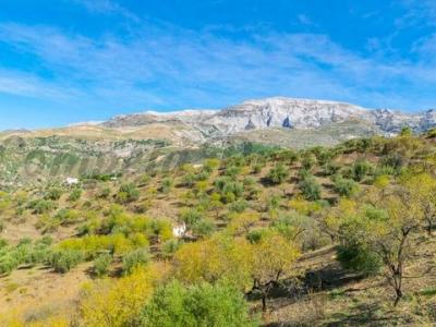 Vente Terrain SEDELLA 29715