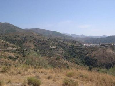 Vente Terrain SEDELLA 29715