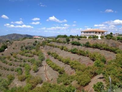 Vente Maison SEDELLA 29715