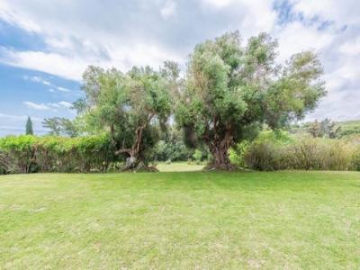 Vente Maison SOTOGRANDE 11310