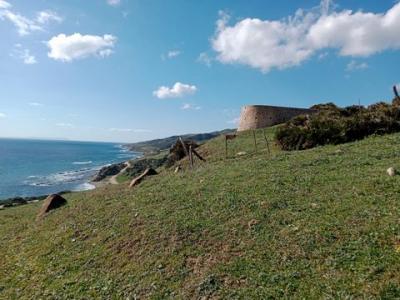 Vente Terrain TARIFA 11380