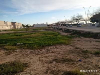 Vente Terrain TORRE-PACHECO 30700