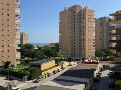 Vente Appartement TORREMOLINOS 29620