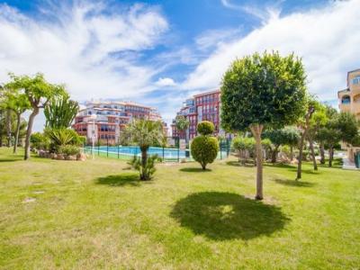 Location vacances Appartement 3 pices TORREVIEJA 03180