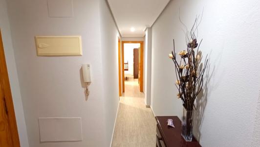 Location Appartement TORREVIEJA 03182