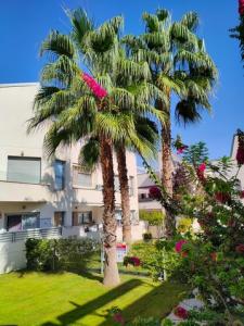 Vente Appartement TORREVIEJA 03185