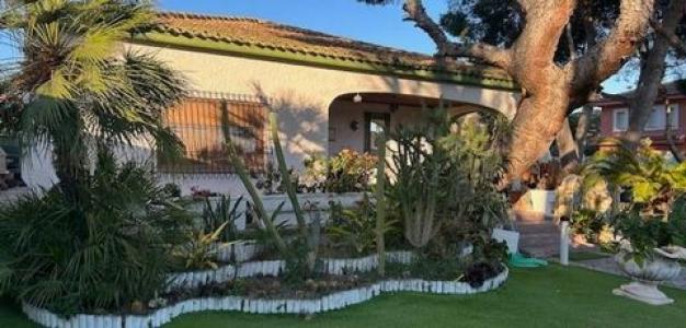 Vente Maison TORREVIEJA 03180