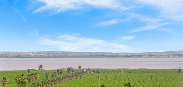 Vente Appartement TORREVIEJA 03180