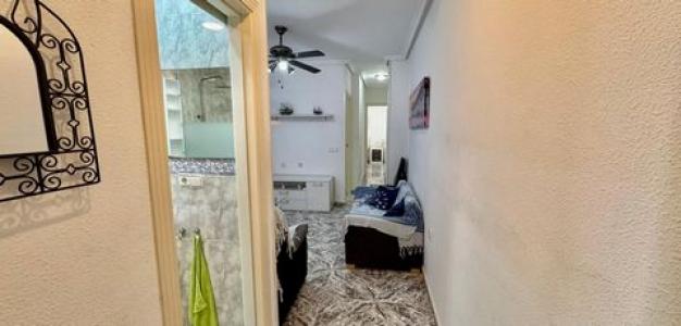 Vente Appartement TORREVIEJA 03180