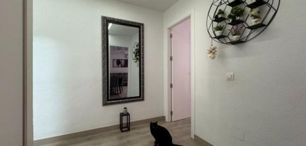 Vente Appartement TORREVIEJA 03180