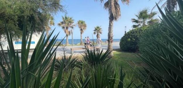 Vente Local commercial TORREVIEJA 03180