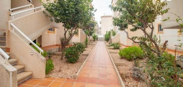 Vente Appartement TORREVIEJA 03180