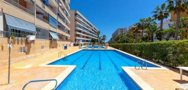 Vente Appartement TORREVIEJA 03180