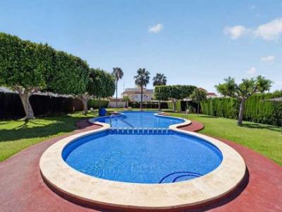 Vente Local commercial TORREVIEJA 03180