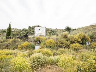 Vente Terrain TORROX 29770