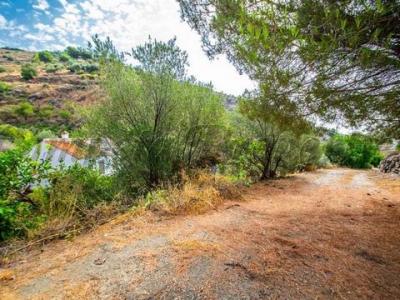 Vente Terrain TORROX 29770