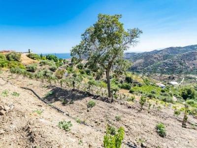 Vente Terrain TORROX 29770