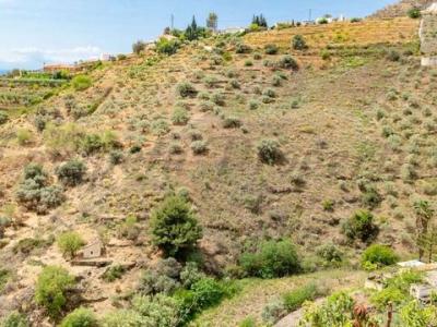 Vente Terrain TORROX 29770